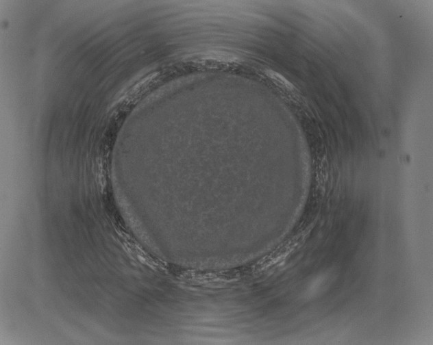 X0000080710774200701051008