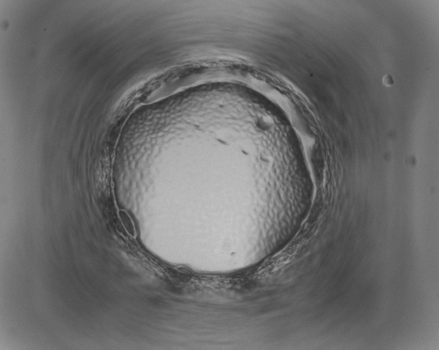 X0000080710775200701051008