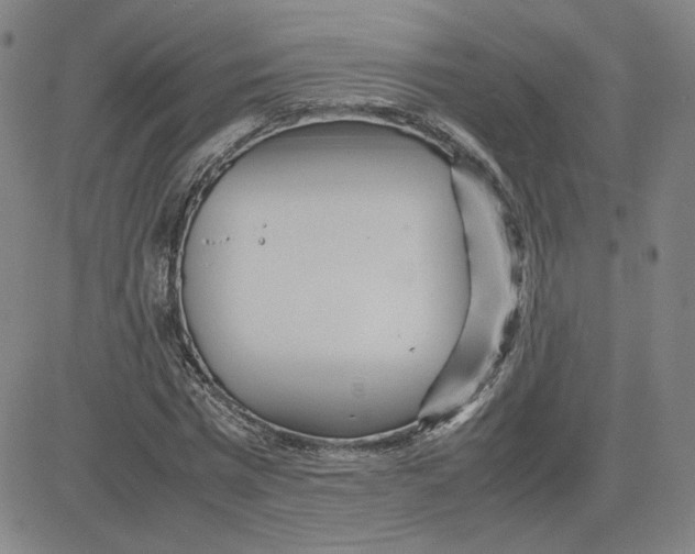 X0000080710777200701051008