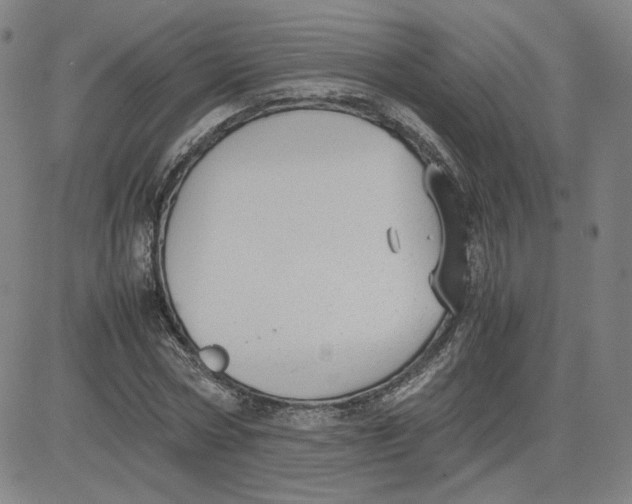 X0000080710778200701051008