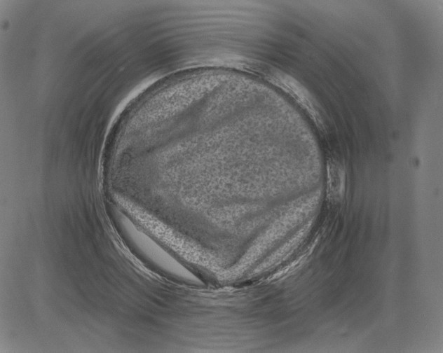 X0000080710780200701051008