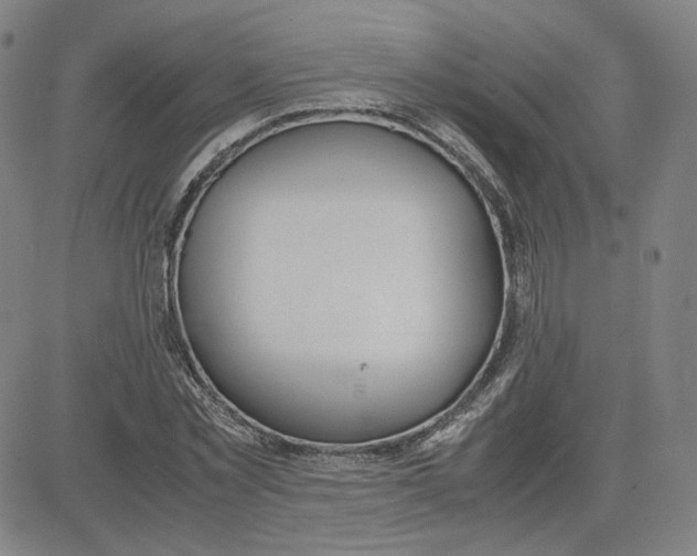 X0000080710781200701051008