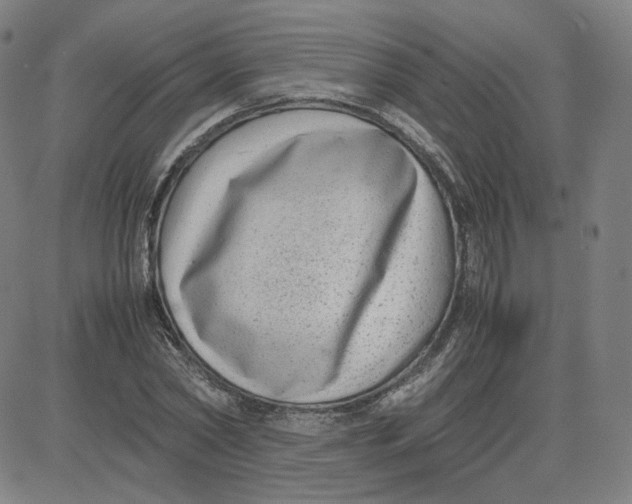 X0000080710782200701051008