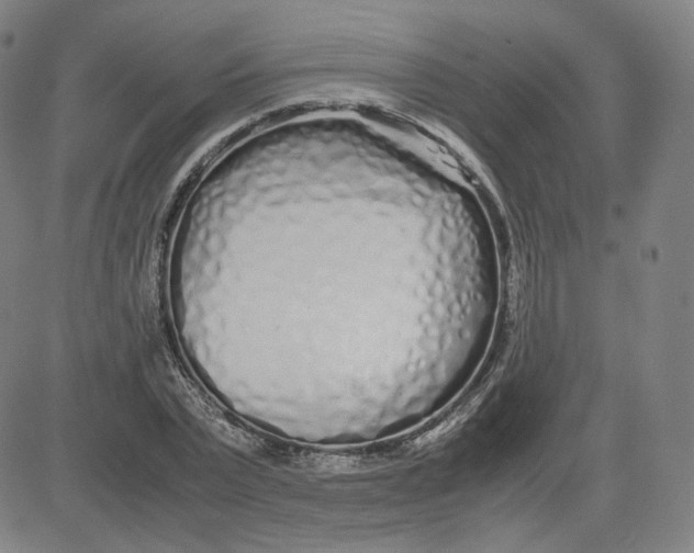 X0000080710783200701051008