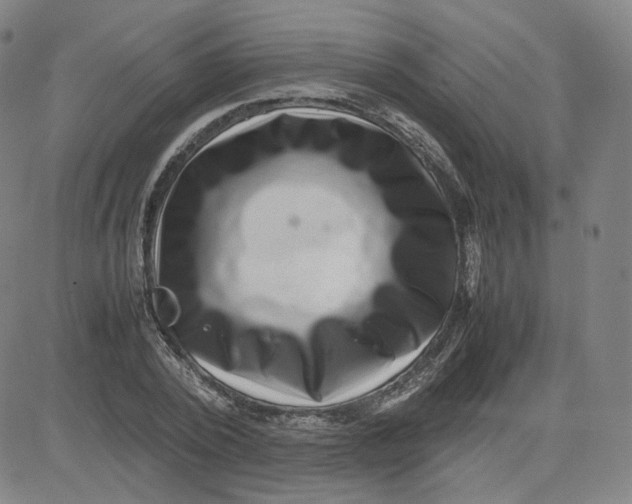 X0000080710784200701051008