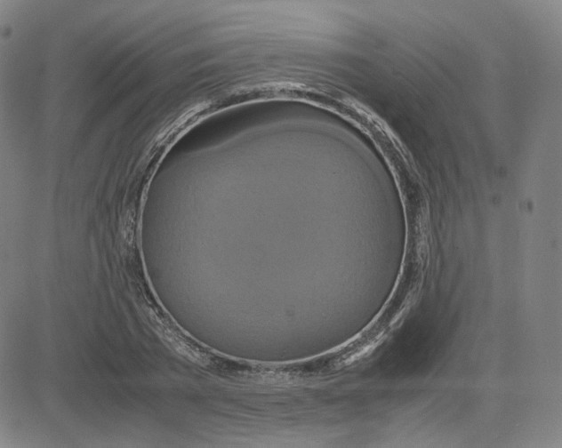 X0000080710785200701051008