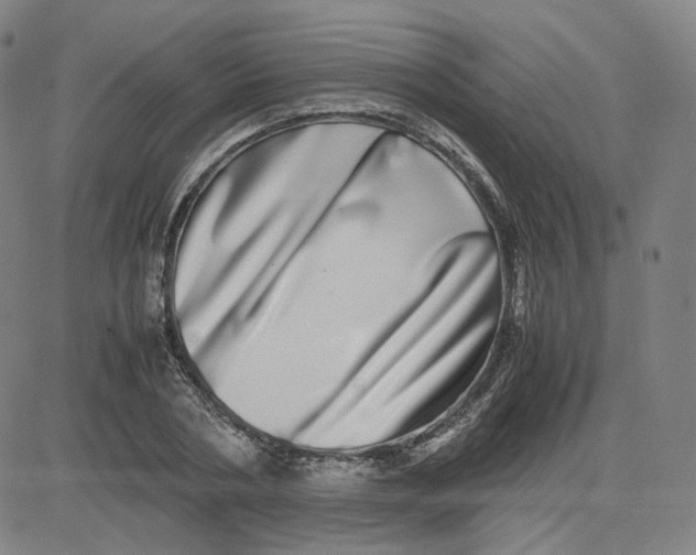 X0000080710786200701051008