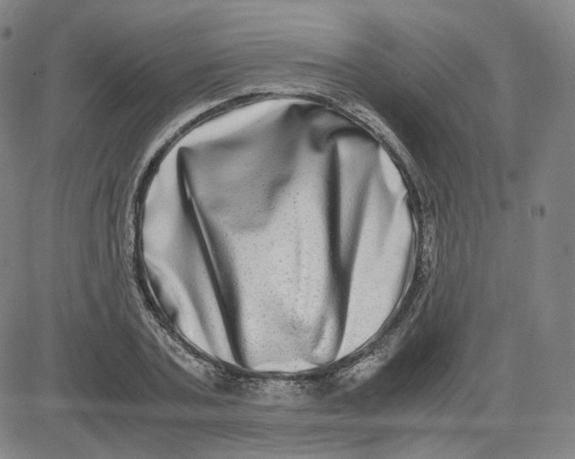 X0000080710787200701051008