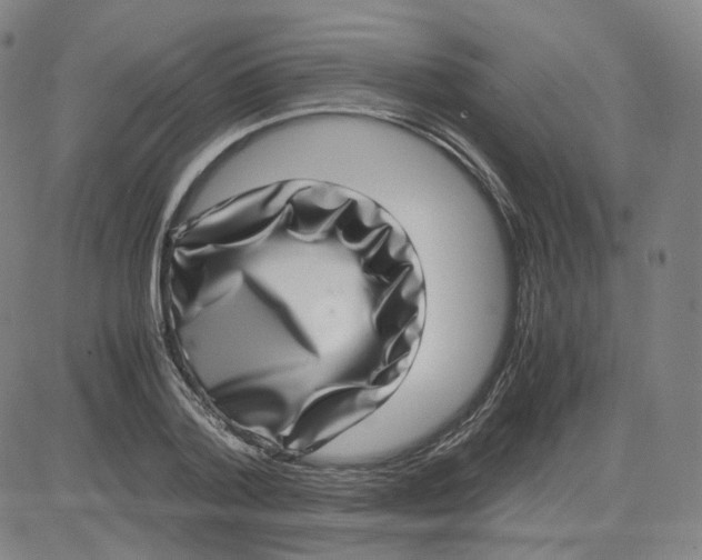 X0000080710788200701051008