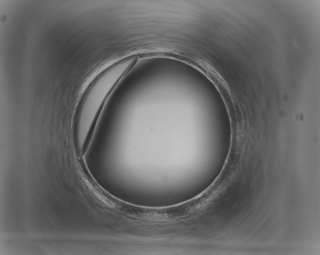 X0000080710789200701051008