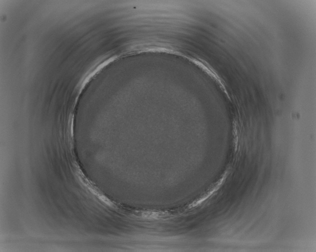 X0000080710790200701051008