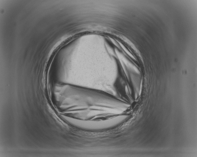 X0000080710791200701051008