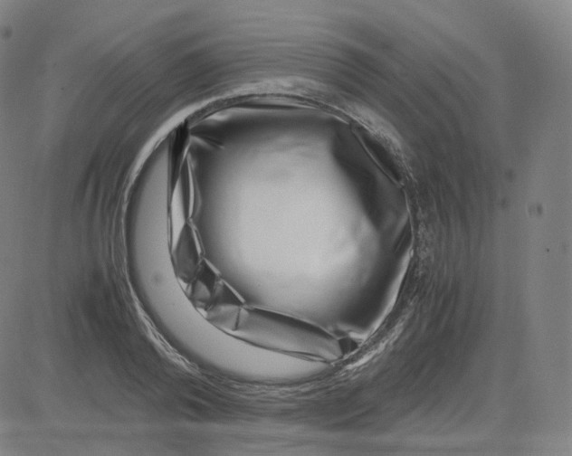 X0000080710792200701051008