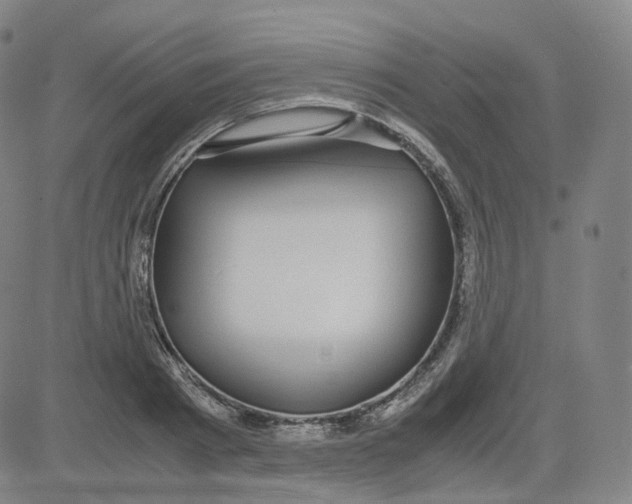 X0000080710793200701051008