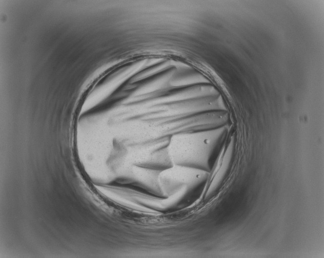 X0000080710795200701051008