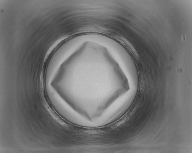 X0000080710796200701051008