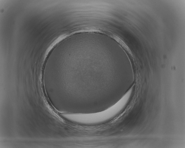 X0000080710797200701051008