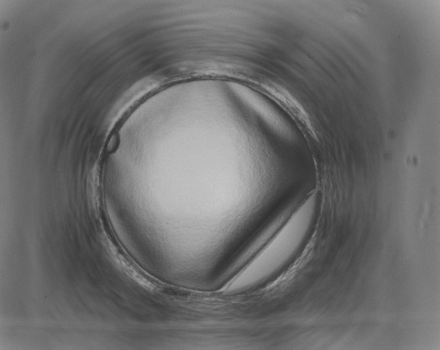 X0000080710798200701051008