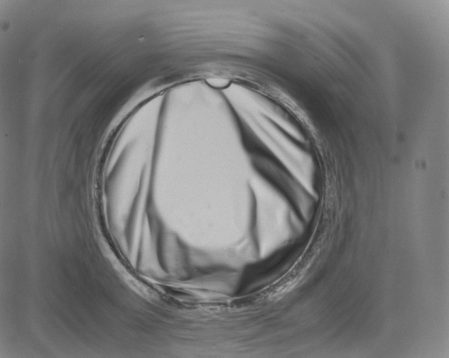 X0000080710803200701051008