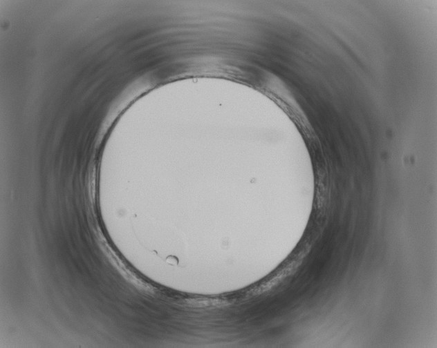 X0000080710804200701051008