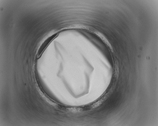 X0000080710805200701051008