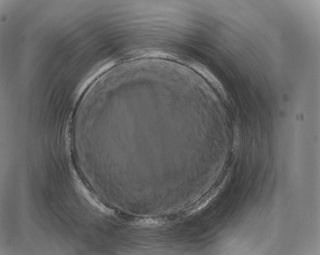 X0000080710806200701051008