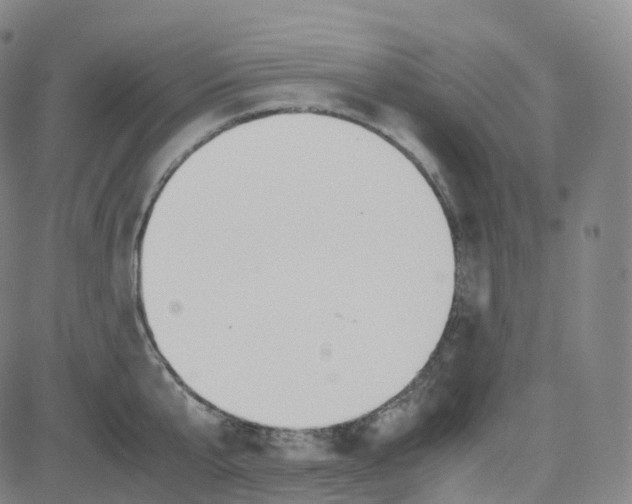 X0000080710807200701051008