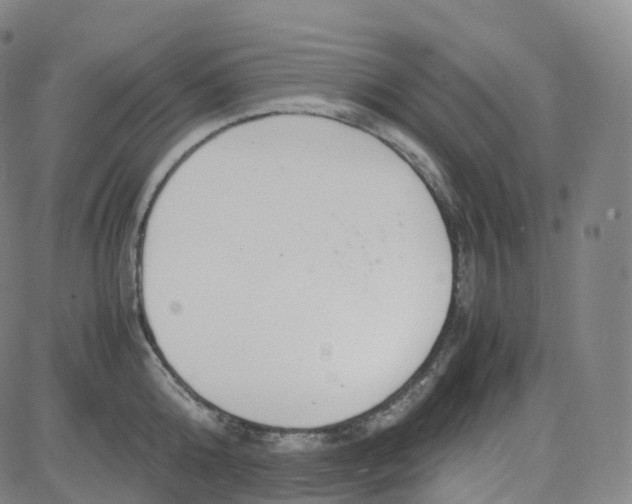 X0000080710808200701051008