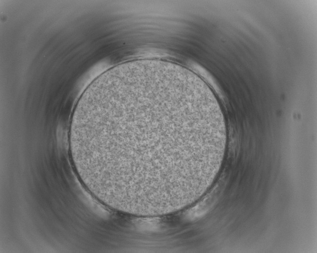 X0000080710810200701051008