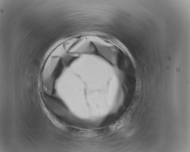 X0000080710811200701051008