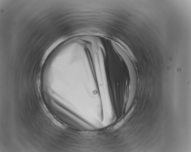 X0000080710812200701051008