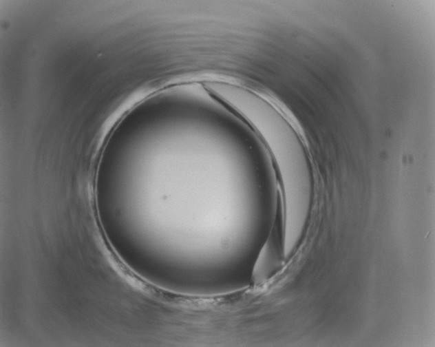 X0000080710813200701051008