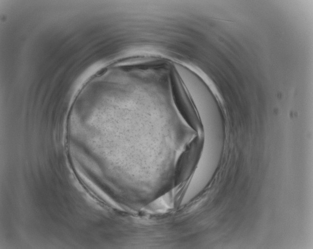 X0000080710815200701051008