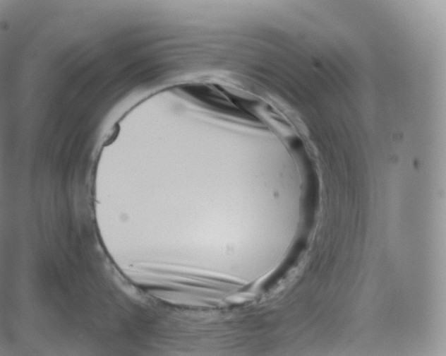 X0000080710816200701051008