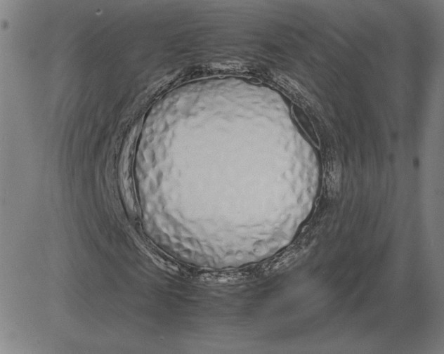 X0000080710817200701051007