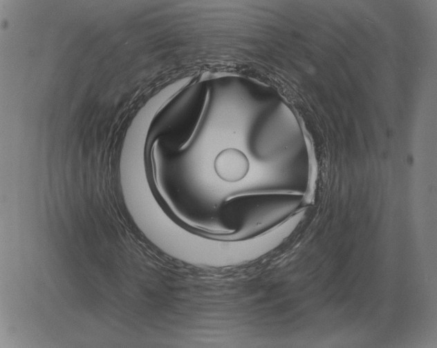 X0000080710818200701051007