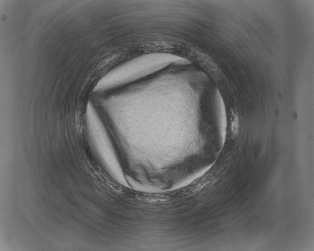 X0000080710819200701051007