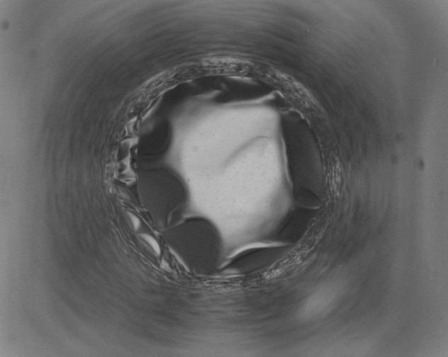 X0000080710821200701051007