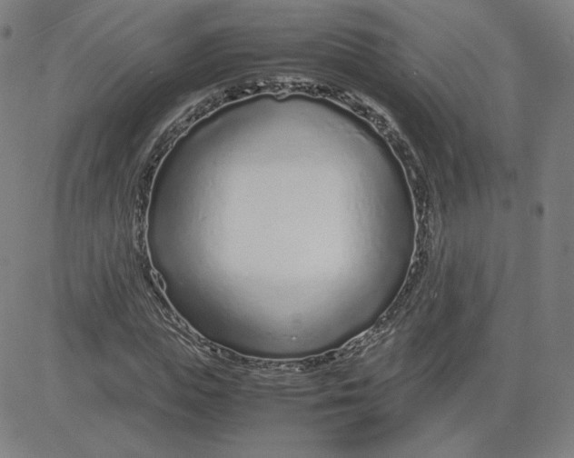 X0000080710823200701051007