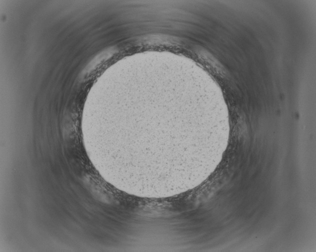 X0000080710824200701051007