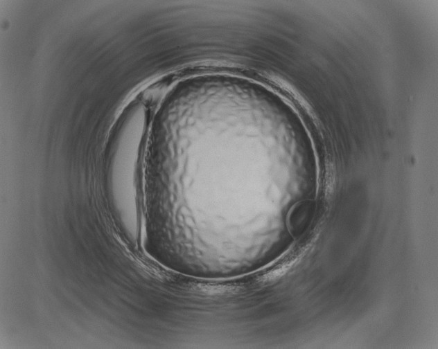 X0000080710829200701051007