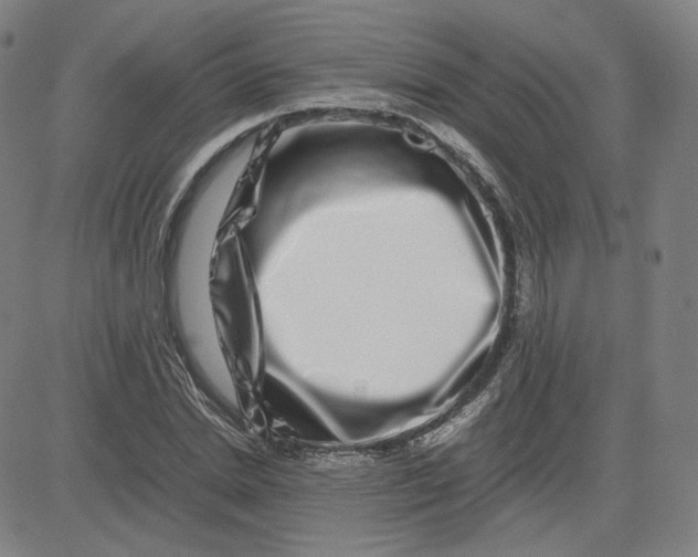 X0000080710830200701051007