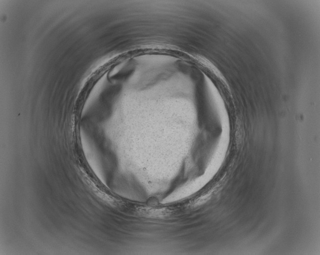 X0000080710831200701051007