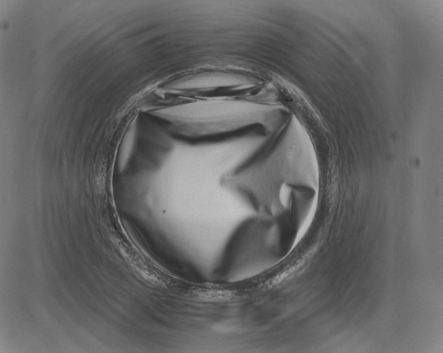 X0000080710833200701051007