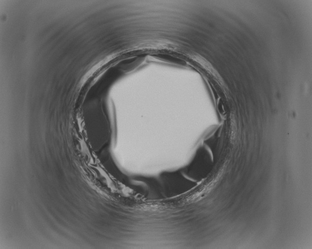 X0000080710834200701051007