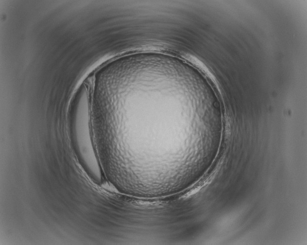 X0000080710835200701051007