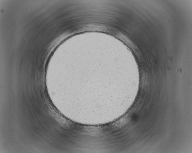 X0000080710836200701051007