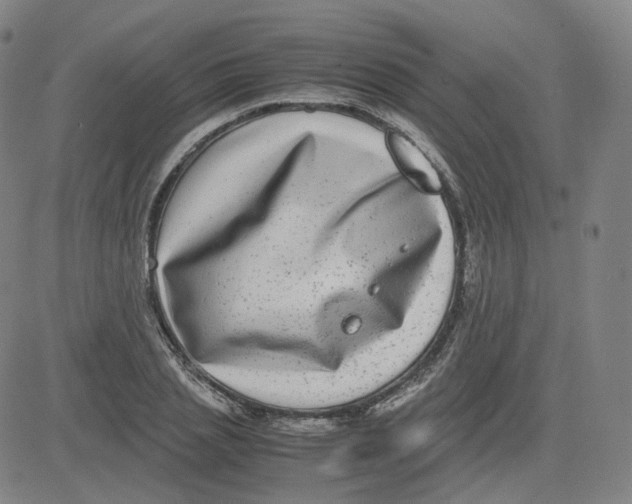 X0000080710837200701051007