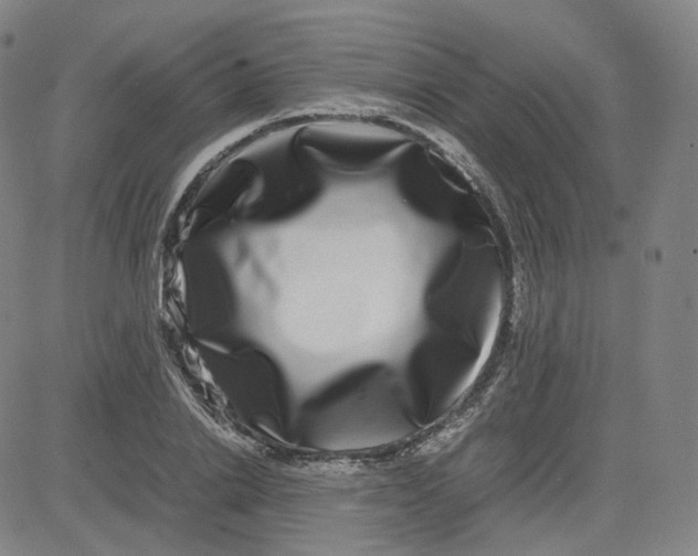 X0000080710838200701051007