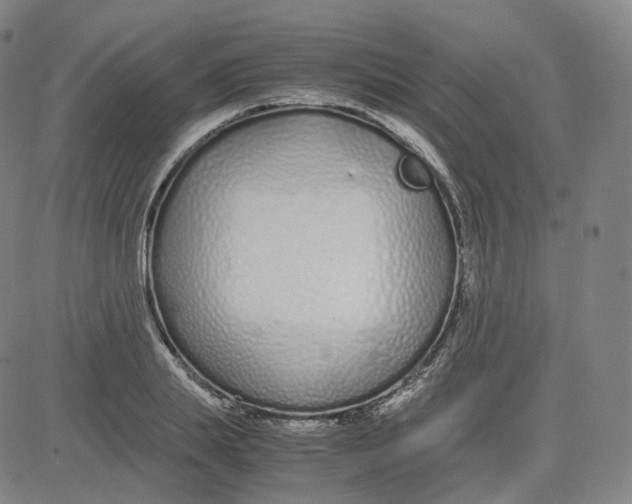 X0000080710839200701051007